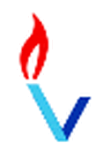Vsree Soft Pvt Ltd