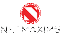Netmaxims Solutions