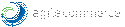 Agile Commerce