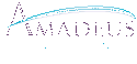 Amadeus Consulting Group