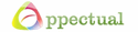 Appectual It Solutions