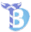 Bals Technology