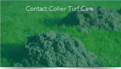 Collier Turf Care Limited