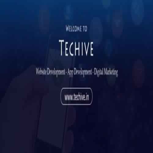 91Techive Online Solutions Pvt Ltd