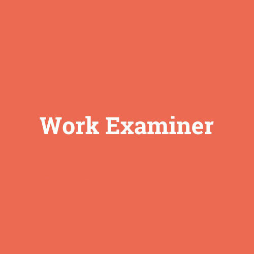 Work Examiner