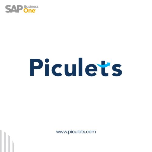 Piculets Solutions Private Limited