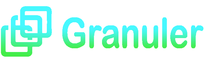 Granuler CIO Consulting