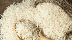 Top Rice Importers