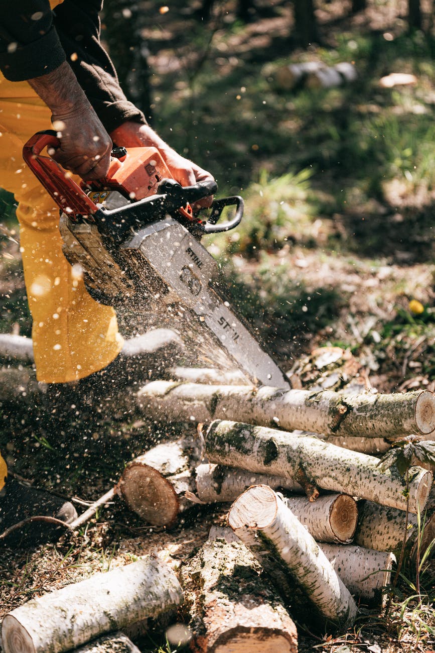 Tree Removal Cairns