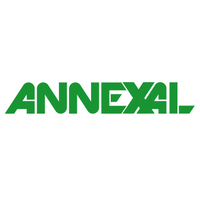 Social Media Advertising - Annexal