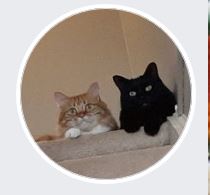 Franklin &amp; Ollie