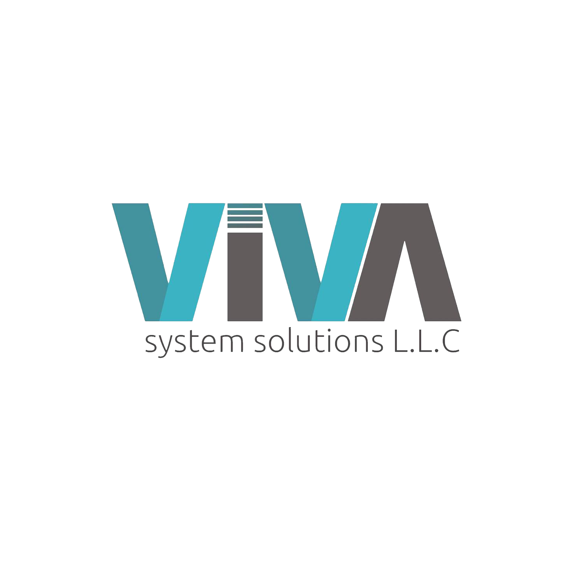 viva system solutions llc