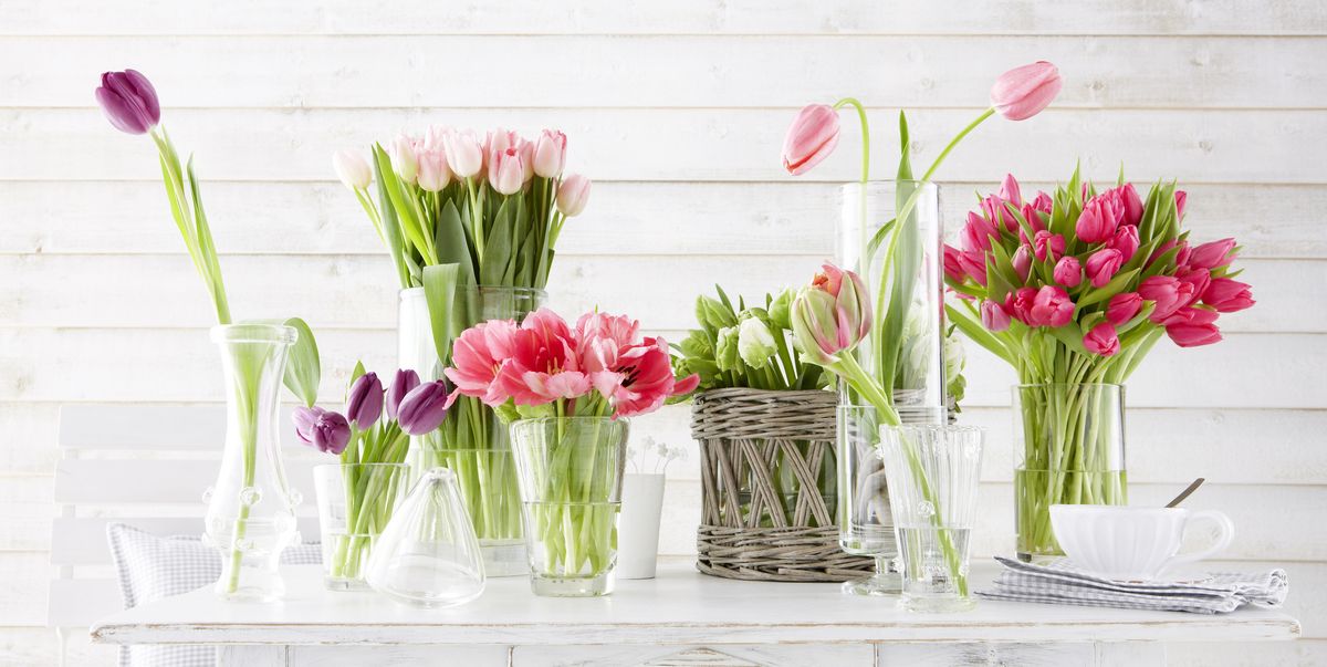 RTFact Flowers