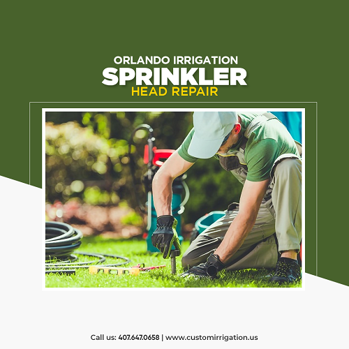 Custom Irrigation