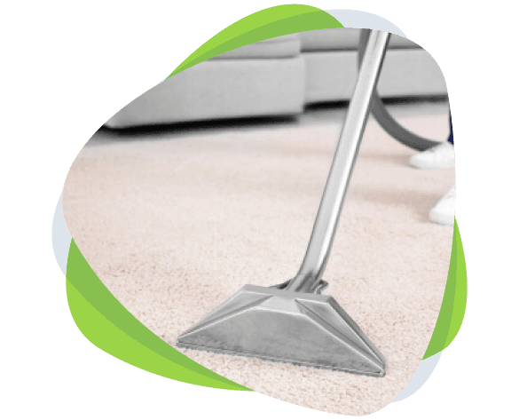 Carpet Cleaning Gisborne