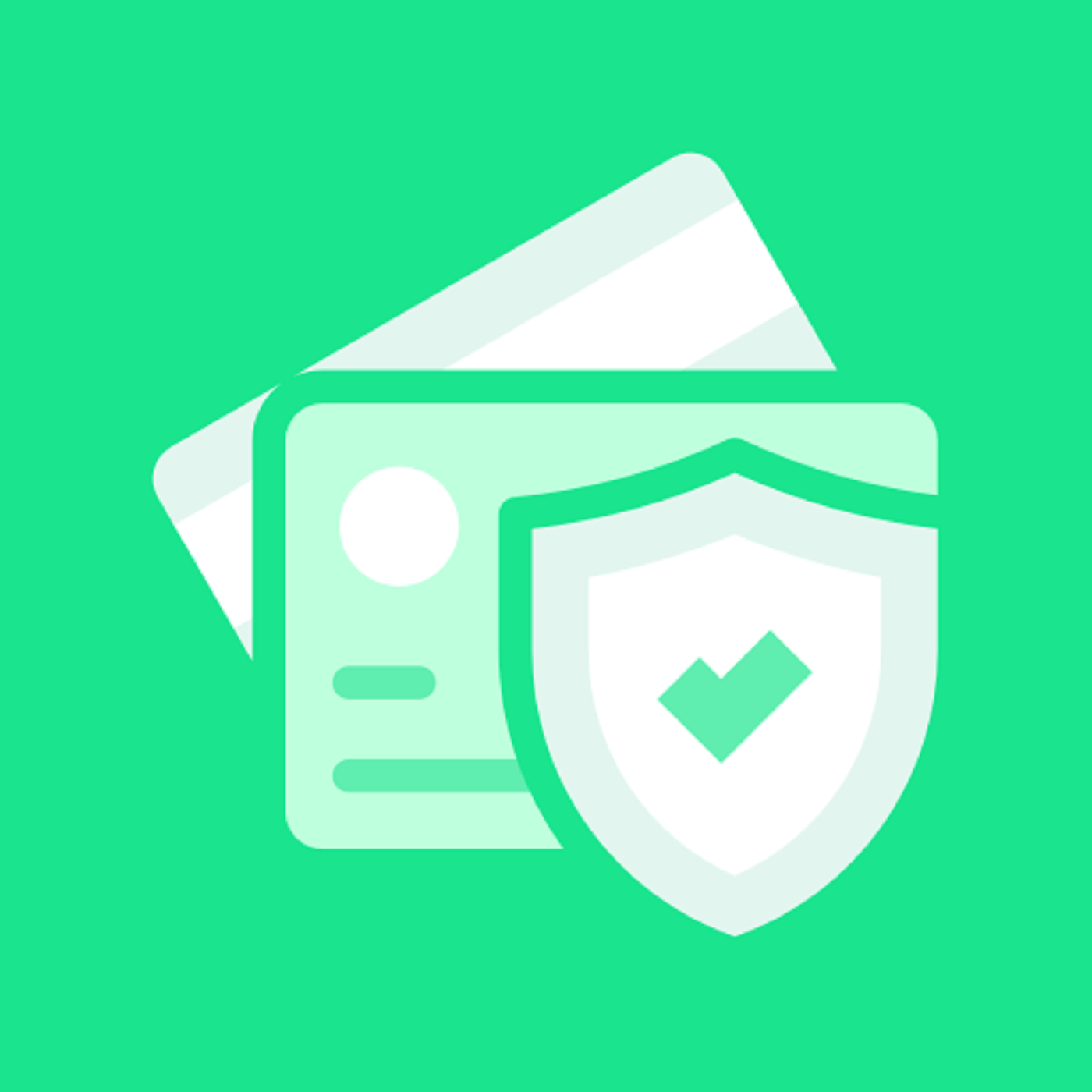 RapidCreditFix