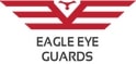 Eagle eye security