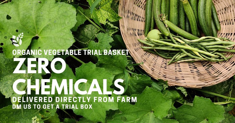 ResponsiblyGrown: Organic Vegetables &amp; Fruits Farms