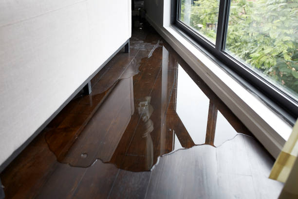 Best Flood Damage Restoration Melbourne