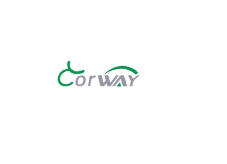 Wuhu Corway Vehicle Industry Co., Ltd.