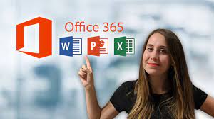 MS office Services
