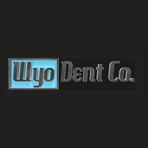 Wyo Paint Protection