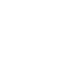 The Padded Wagon of New York
