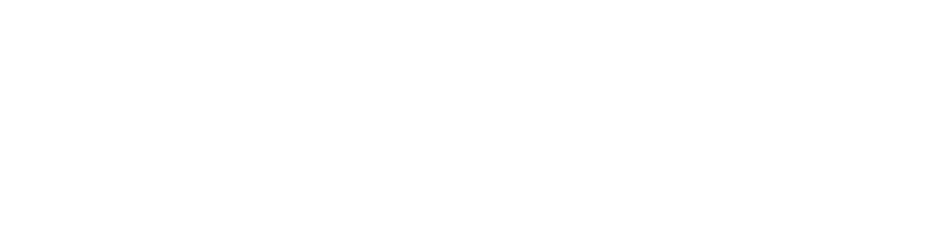 Emars Pro