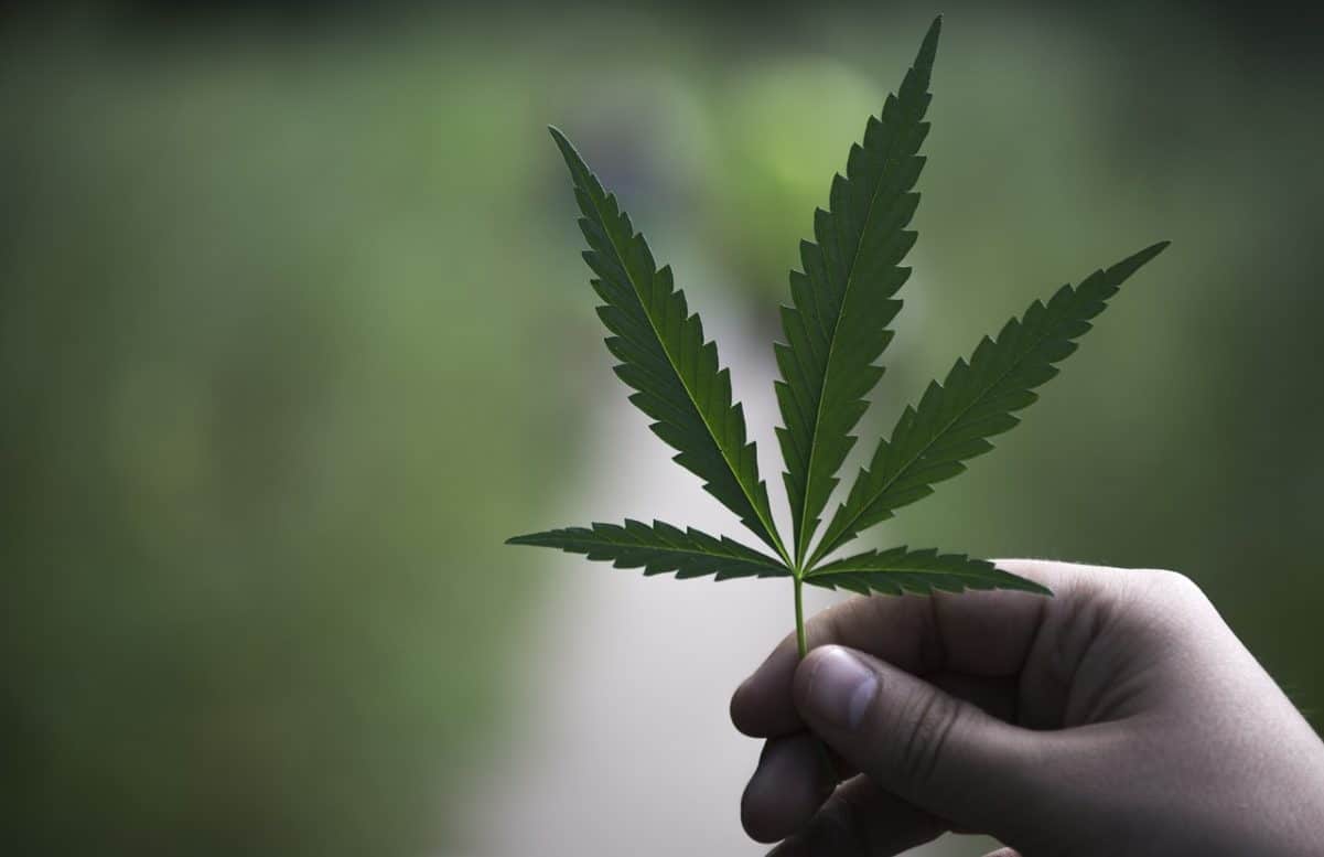 Royal Weed Cannabis Dispensary