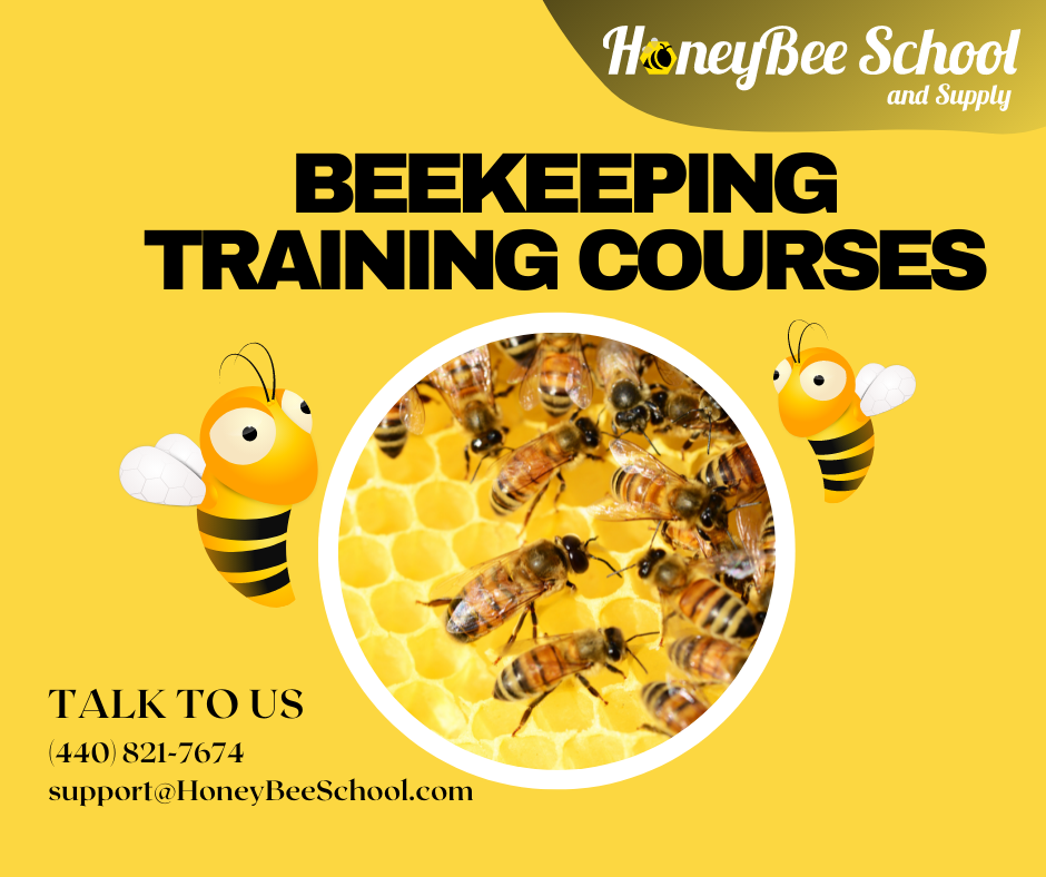 HoneyBee School and Supply