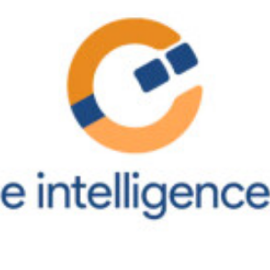 e intelligence
