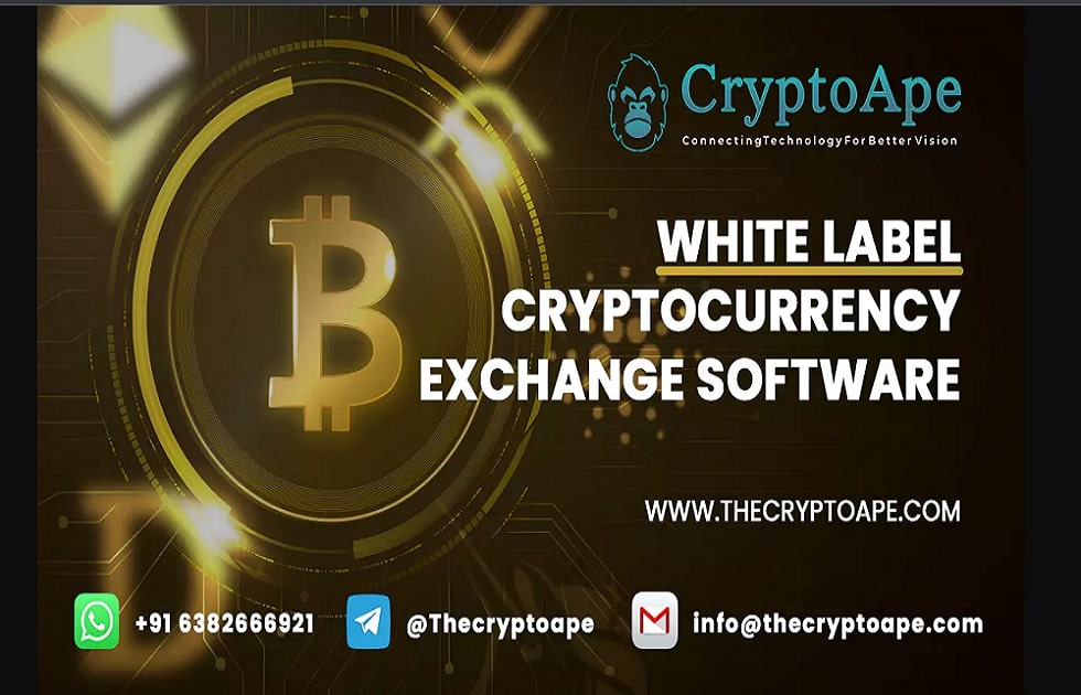 CryptoApe