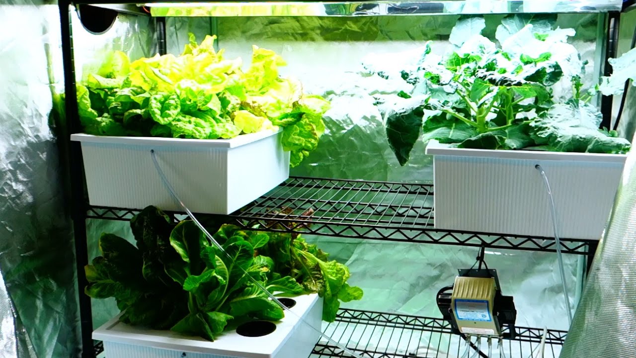 Hydroponic Suppliers Central Coast - Nutriflo Hydroponic Systems