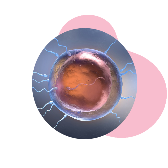 Sneh IVF Centre - Best IVF Hospital in Ahmedabad