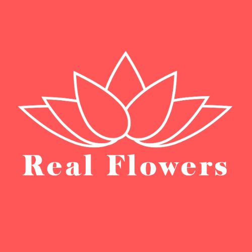 RealFlowers