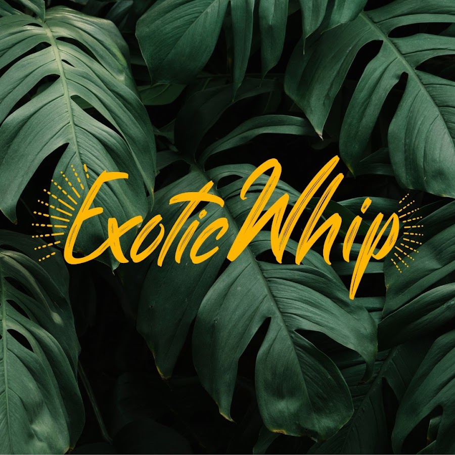 Exotic Whip