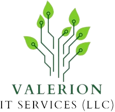 Valerion IT Services