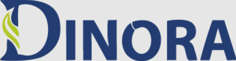 DINORA: Kitchen Sink Manufacturer &amp; Supplier in India