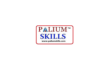 PALIUM SKILLS