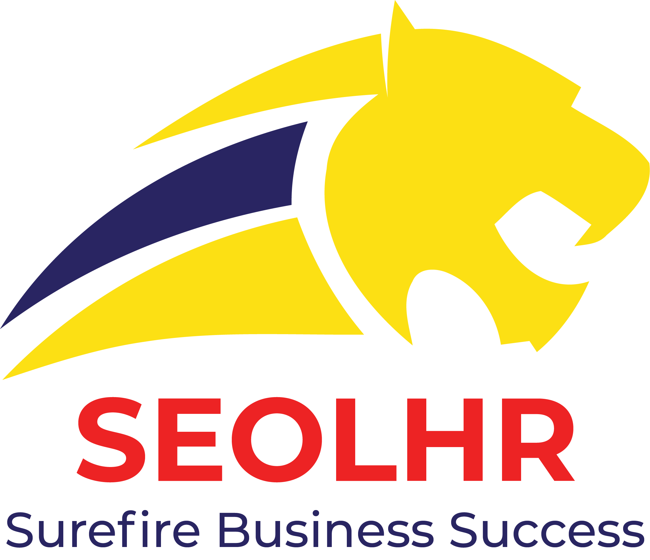 SEOLHR - Full Marketing Agency