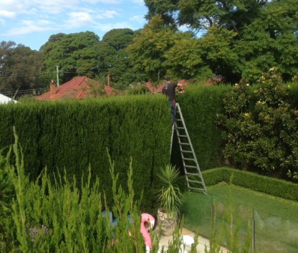Four Seasons Landscaping & Gardening
