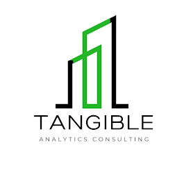 Tangible Analytics Consulting