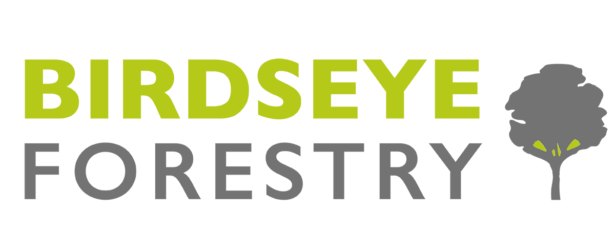 Birdseye Forestry Consulting, LLC
