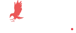 Ravens Digital