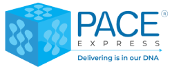 Pace Express Private Limited