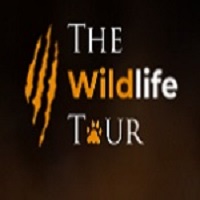 The Wildlife Tour — Luxury Tiger Safaris &amp; Wildlife Expeditions in India