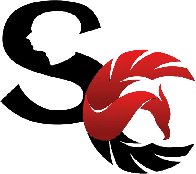 Scalp Carolinas LLC