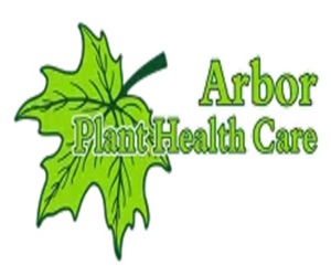 Arbor Plant Health Care