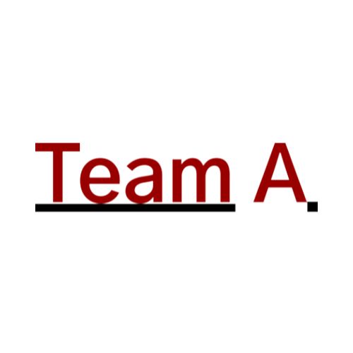 Team Amic GmbH