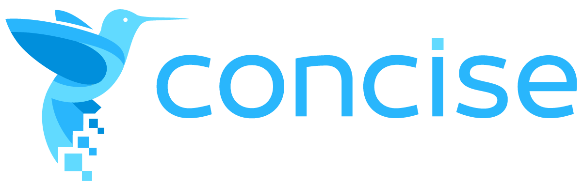 Concise Computer Consulting, Inc.